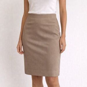NWT Lord & Taylor Classic Pencil Skirt